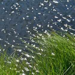 2019-08 Savoie/La Tuile/DSC_1645.JPG